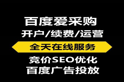 百度SEO推广策略深度解读：某企业网络营销的胜利之路